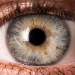 آنچه رنگ و فرم چشم درباره سلامت شما می گوید