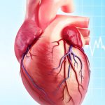 علل بروز امراض قلبی و عروقی در بانوان
