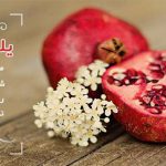 یلدا سلام | جشن یلدای امسال با دکتر سلام ۱۳۹۶